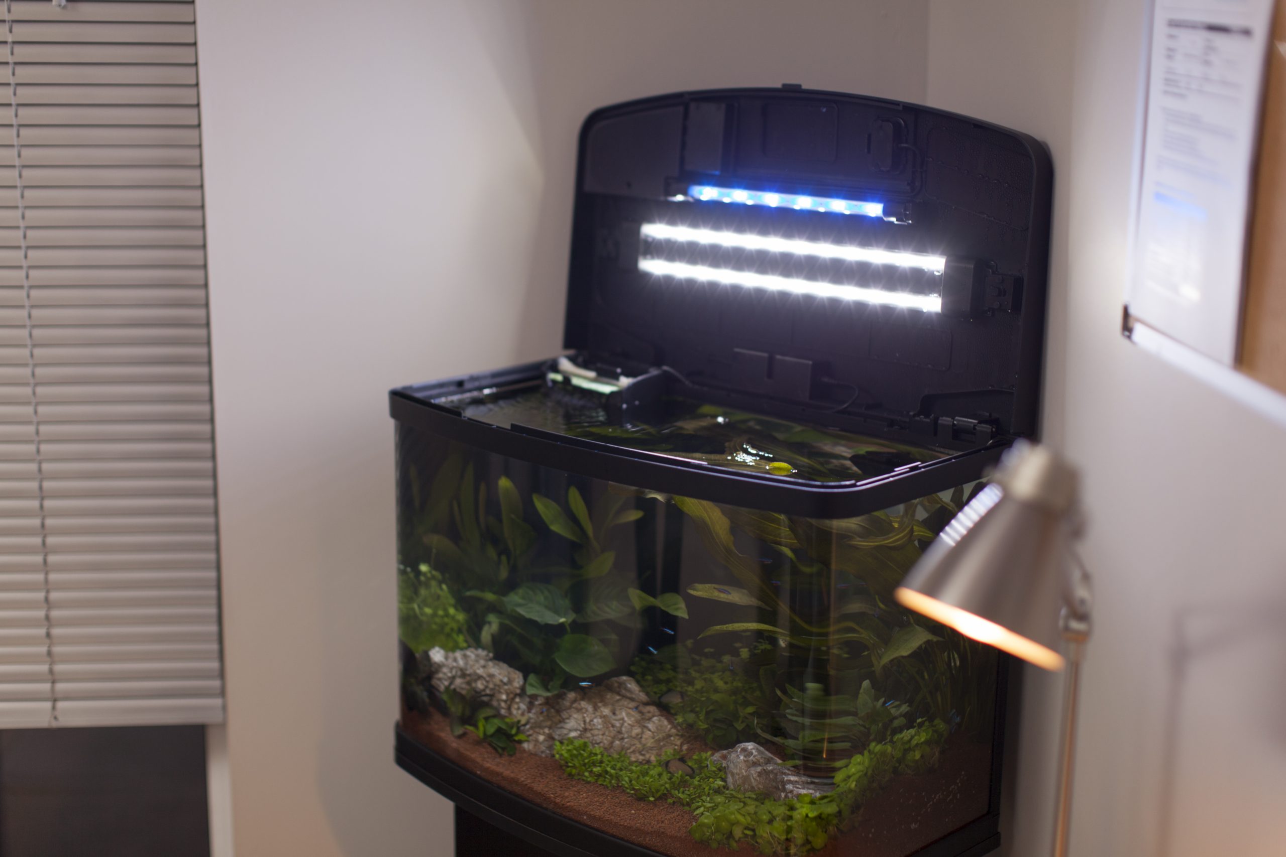 Onbepaald scherp Bij wet Interpet - Insight LED Aquarium - 40L