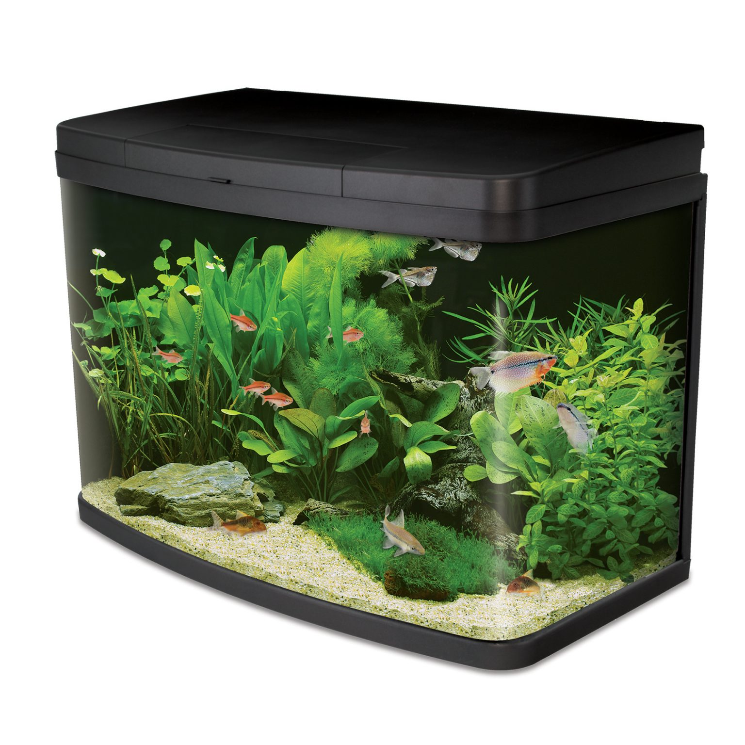 Interpet - Aquariums-Aq