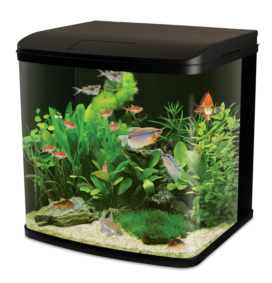 River Reef Led Aquarium PARENT