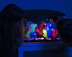 Kids Glow Aquarium 30 Litres