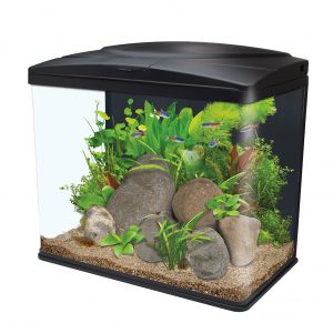 Fish Box Led 54 Litre Aquarium