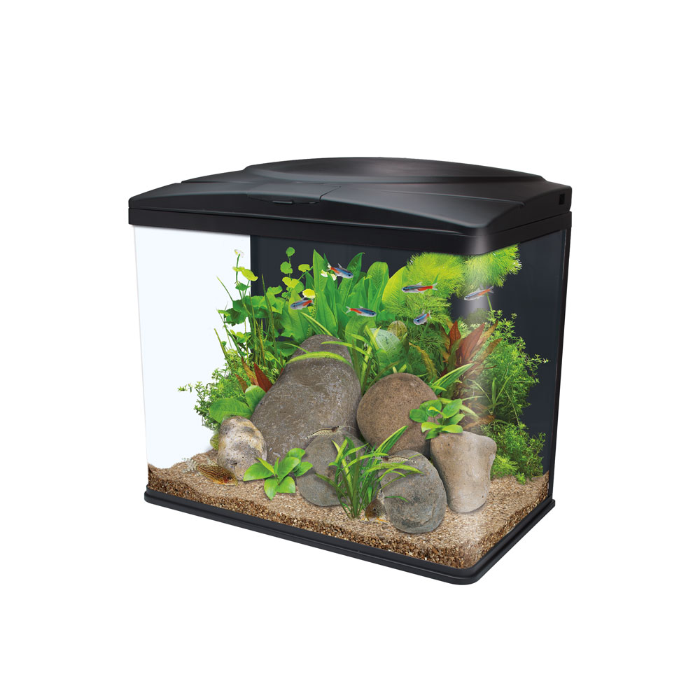 Aquarium condensation outlet tray