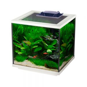 Aqua Cube 28 Litres