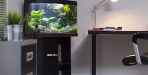 Aquarium Cabinets