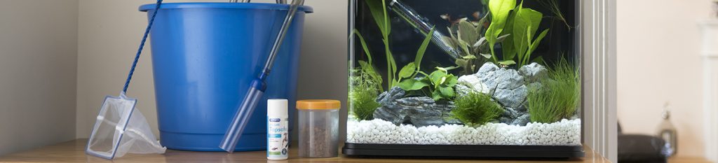 Aquarium Maintenance: Water Changes - PetHelpful