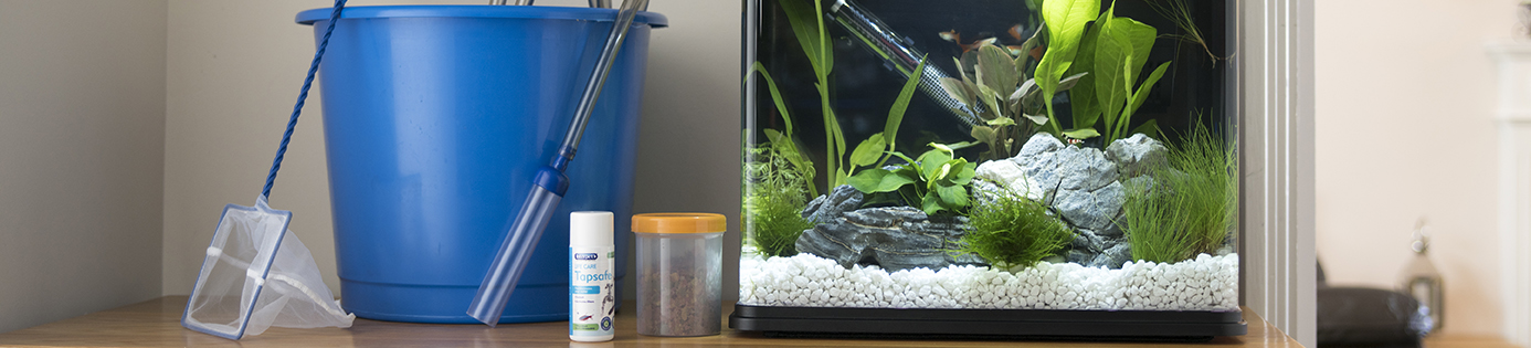 Aquarium care and maintenance best sale