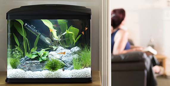 Home-LIFE-aquarium2