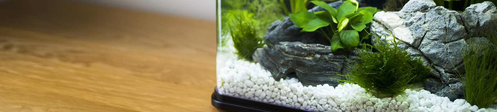 Our-products-aquariums-heroslim