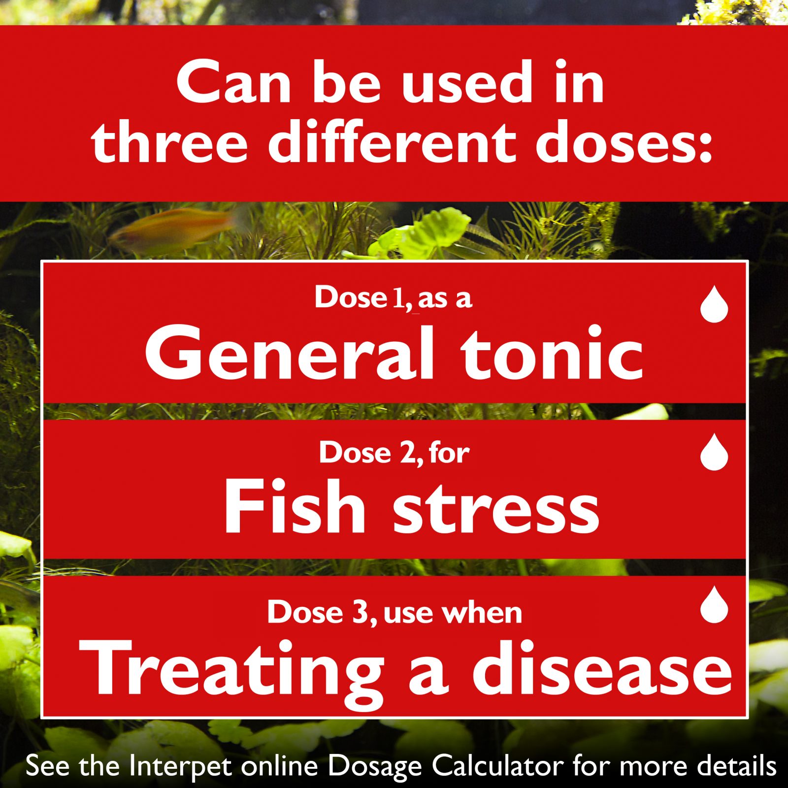 Interpet Aqualibrium First Aid Salt 265g