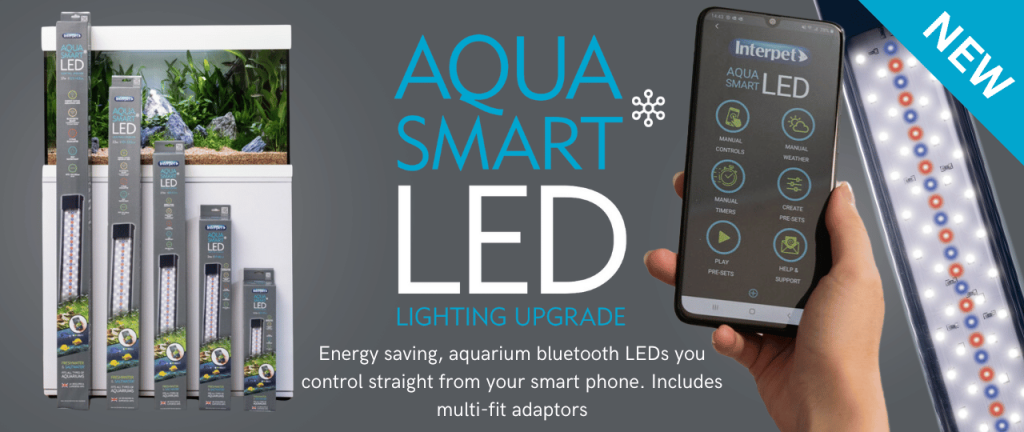 Aqua Smart Web Banner