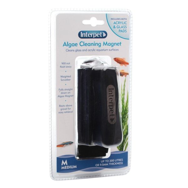 Medium Algae Cleaning Magnet