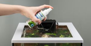 Aquarium Plant Care