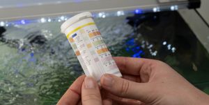 Aquarium Test Kits & Treatments