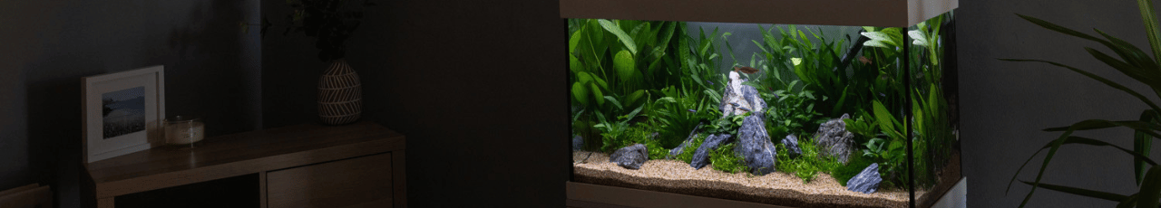 Aquarium and fish care products (2)