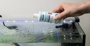 Aquarium Water Treatments